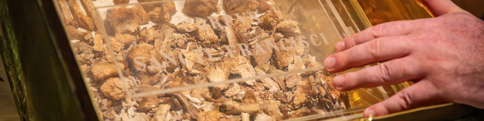 Franciscus, 1226-2026